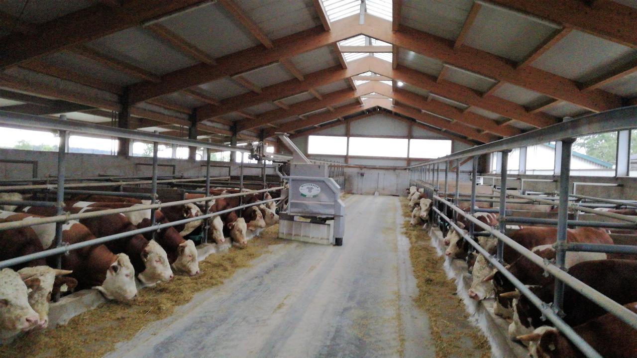 Vila Familienbauernhof Strassbauer Steinakirchen Am Forst Exteriér fotografie