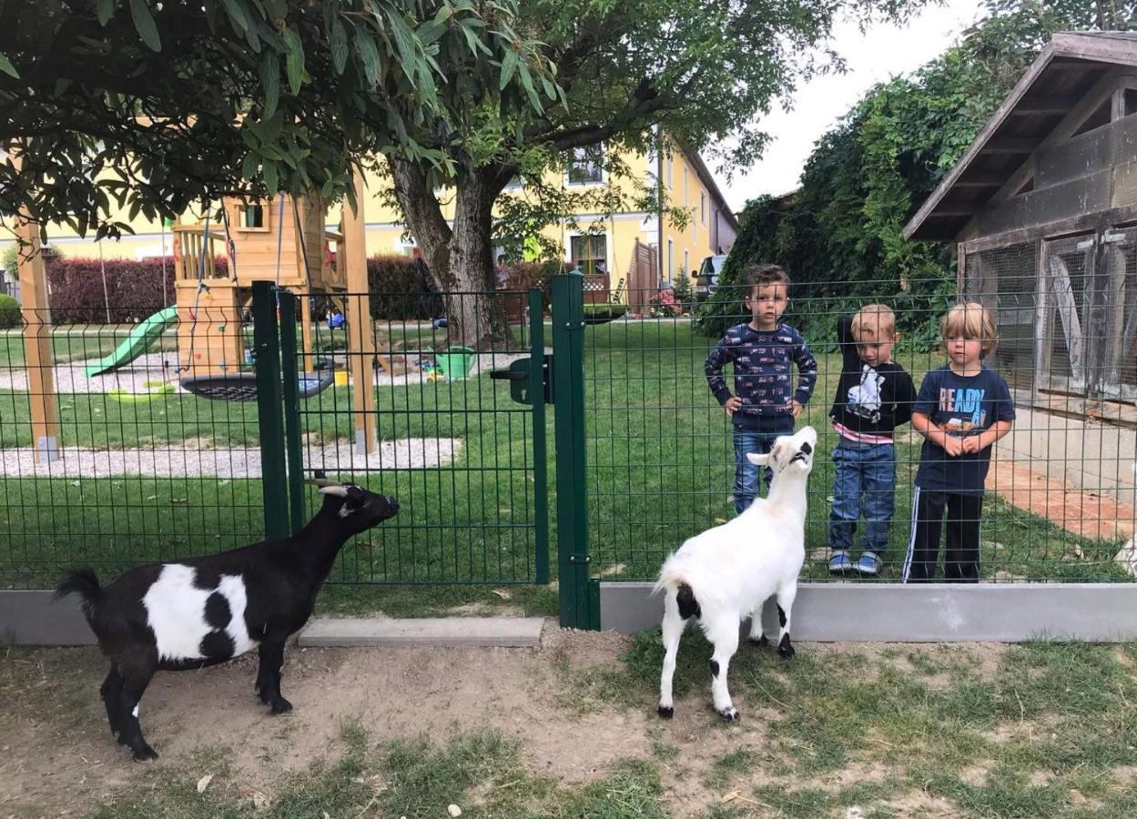 Vila Familienbauernhof Strassbauer Steinakirchen Am Forst Exteriér fotografie