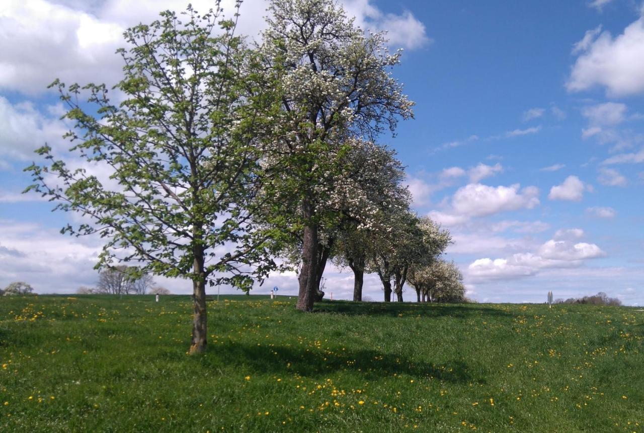 Vila Familienbauernhof Strassbauer Steinakirchen Am Forst Exteriér fotografie